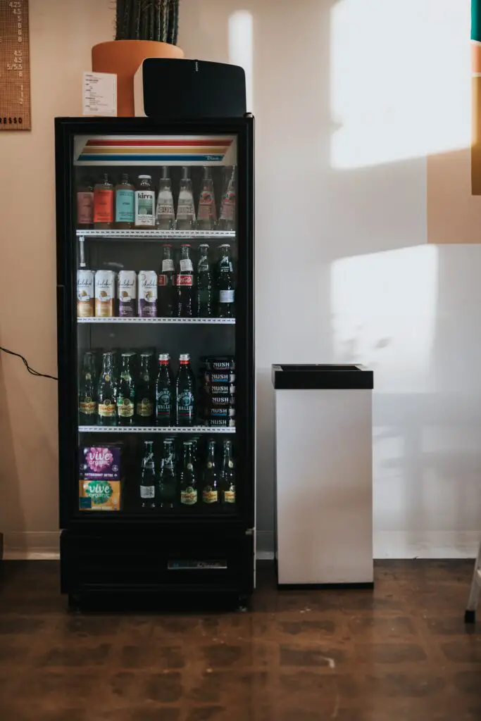 Can You Put A Refrigerator In The Garage? Garage Expert