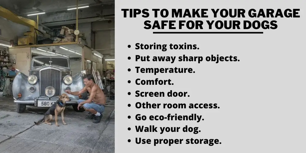 tips to make your garage safe for your dogs