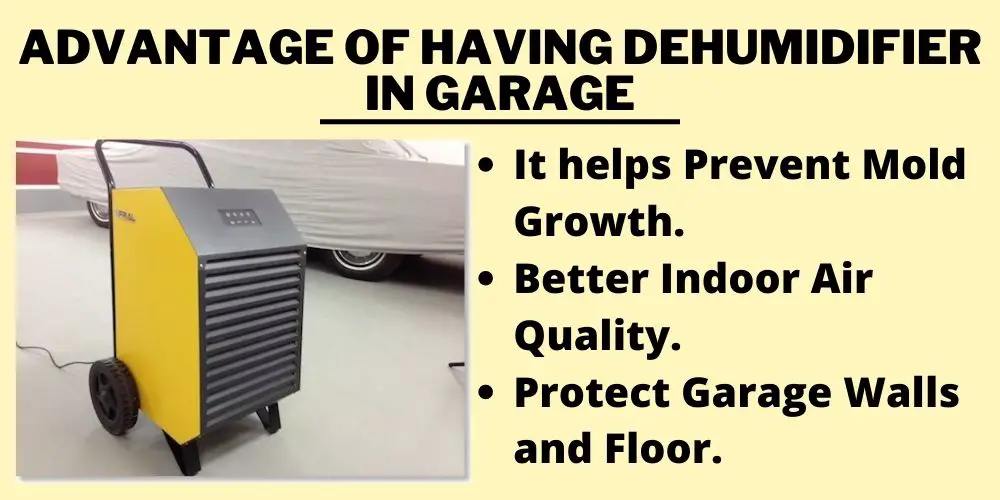 Advantage of Having Dehumidifier in Garage