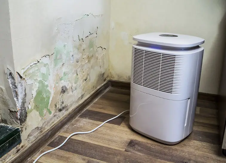 Do air purifiers work in the garage?