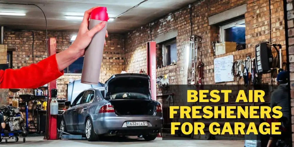 best air fresheners for garage reviews